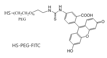 FITC-PEG-SH, Fluorescein-PEG-Thiol, MW 2,000