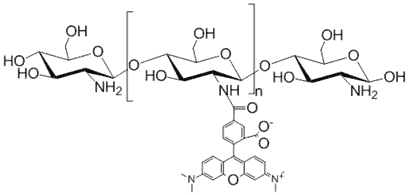 Chitosan, Rhodamine B Labeled, 200-500 cP, 85% DDA