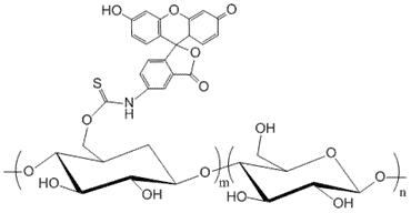 Dextran, Fluorescein Labeled, MW 20,000