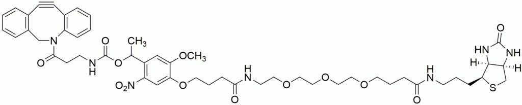 PC DBCO-Biotin