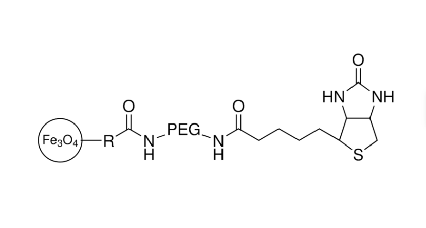 Biotin Iron Oxide Nanoparticles, 5nm