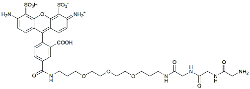 BP Fluor 488 Gly-Gly-Gly