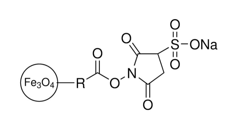 NHS Iron Oxide Nanoparticles, 5nm