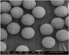 Monodisperse Porous Silica Microspheres, APS 20nm