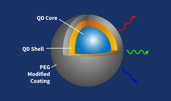 PEG Quantum Dots, Emission Wavelength 645nm