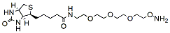 Biotin-PEG3-oxyamine HCl salt | CAS 1786206-22-1