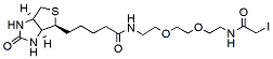 Biotin-PEG2-iodide | CAS 292843-75-5