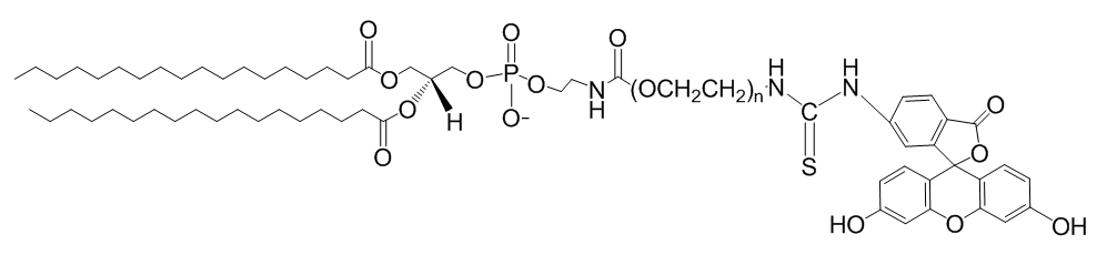 DSPE-PEG-FITC, DSPE-PEG-Fluorescein, MW 5,000