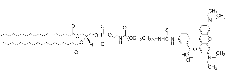 DSPE-PEG-RhB, DSPE-PEG-Rhodamine B, MW 1,000