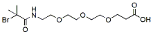 2-Bromo-2,2-dimethyl-acetamido-PEG3-acid | CAS 2279944-67-9