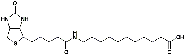 (+)-Biotin-SLC | CAS 1864003-57-5