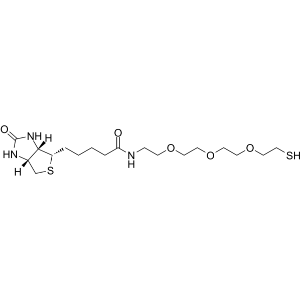 Biotin-PEG3-SH | CAS 1244028-52-1