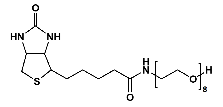 Biotin-PEG8-OH