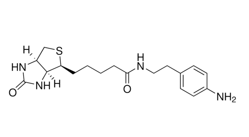 Biotin-Aniline | CAS 769933-15-5