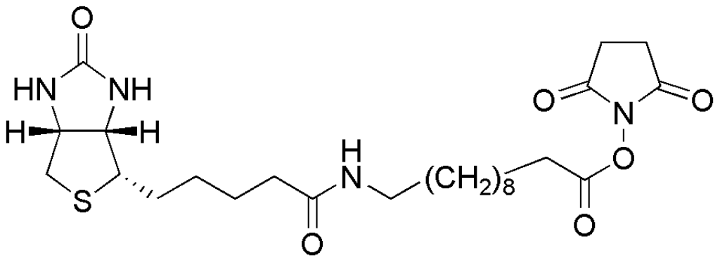 SLC-NHS-(+)-Biotin | CAS 887628-40-2