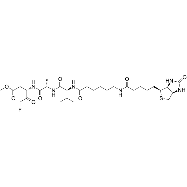 Biotin-VAD-FMK | CAS 1135688-15-1