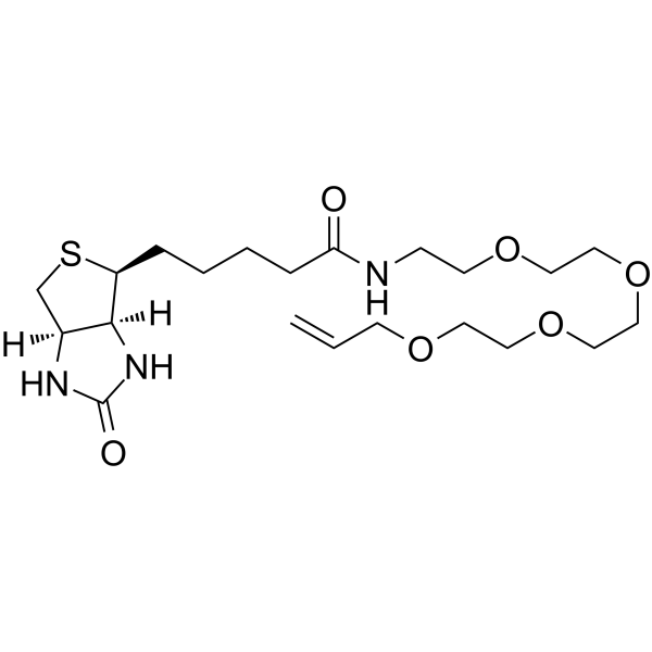 Biotin-PEG4-allyl | CAS 1643661-79-3