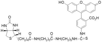 Fluorescein Biotin | CAS 134759-22-1