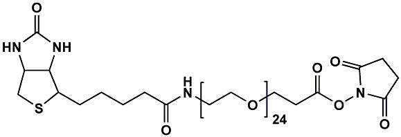 (+)-Biotin-PEG24-NHS Ester | CAS 365441-71-0