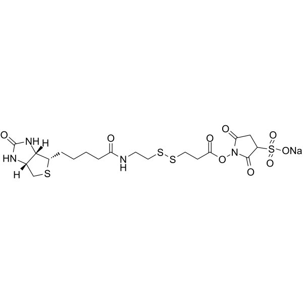 Sulfo-NHS-SS-Biotin sodium | CAS 325143-98-4