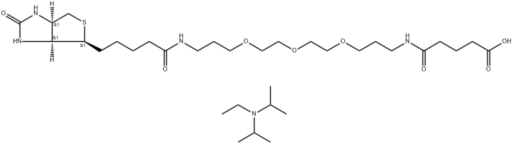 N-Biotinyl-NH-(PEG)2-CO2H·nDIPEA | CAS 1205744-09-7