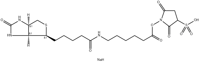 Sulfosuccinimidyl 6-(biotinamido)hexanoate | CAS 191671-46-2