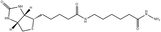 (+)-Biotinamidohexanoic acid hydrazide | CAS 109276-34-8