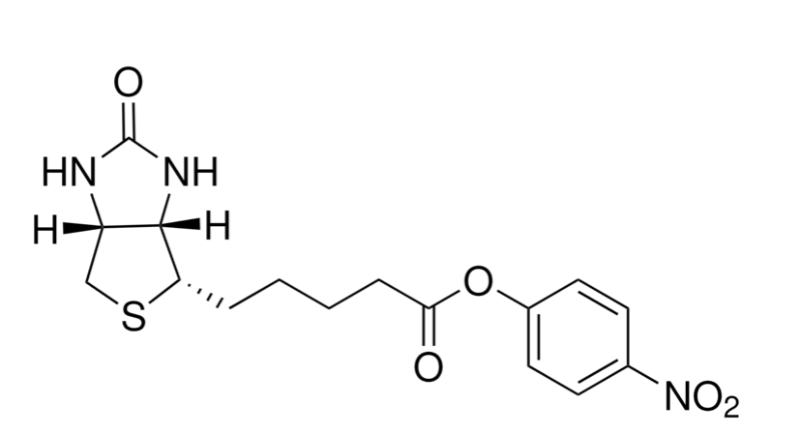 (+)-Biotin4-Nitrophenyl Ester | CAS 33755-53-2