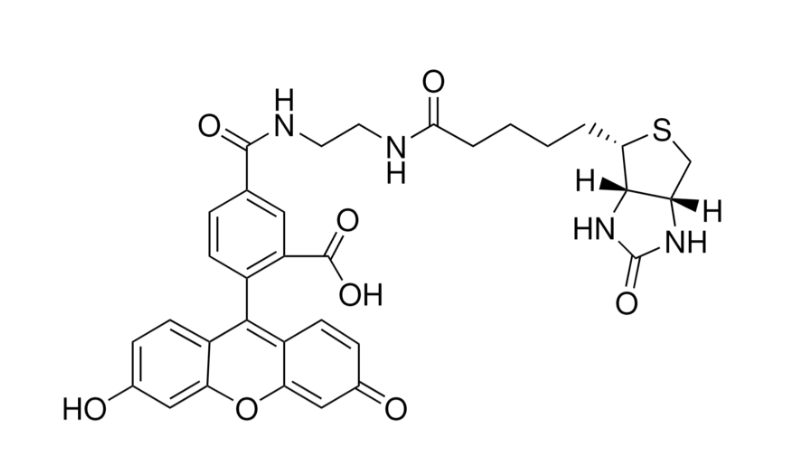 Biotin (5-fluorescein) conjugate | CAS 957494-27-8