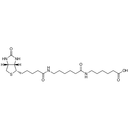 LC-LC-(+)-Biotin | CAS 89889-51-0