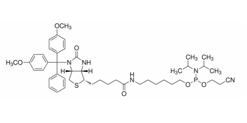 DMT-Biotin-C6 Phosphoramidite | CAS 135137-87-0