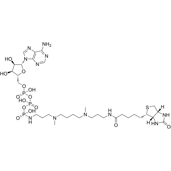 ATP-polyamine-biotin | CAS 1800401-93-7