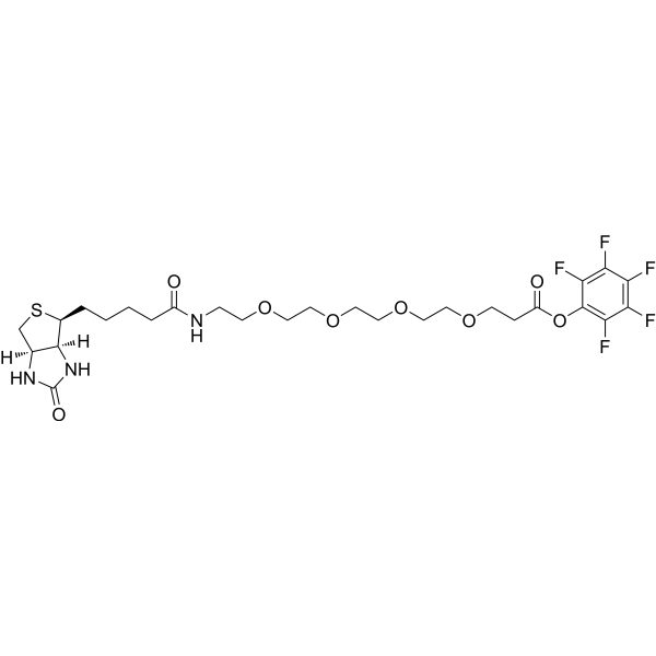 Biotin-PEG4-PFP ester | CAS 1334172-58-5