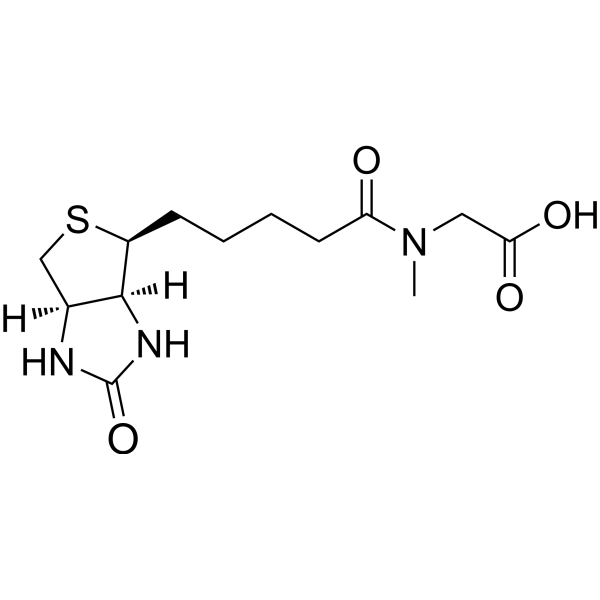 Biotin-Sar-OH | CAS 154024-76-7