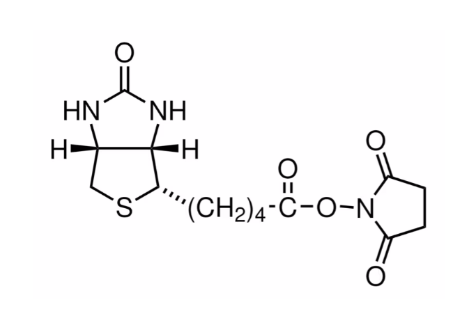 Biotin-NHS | CAS 35013-72-0