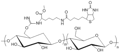 Dextran, Biotin Labeled, MW 2,000k