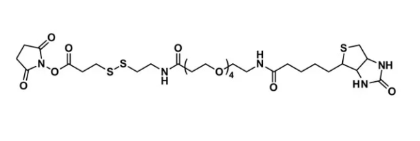 NHS-S-S-dPEG®₄-biotin (cleavable) | CAS 1260247-51-5