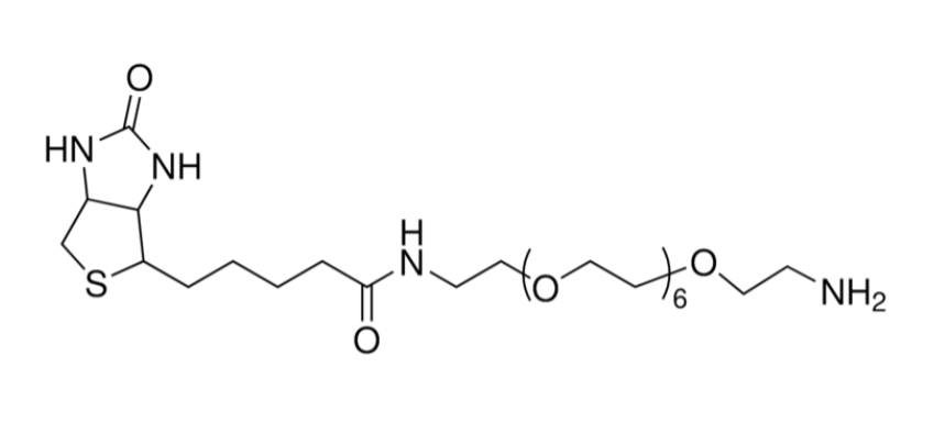 Biotin-dPEG7-NH2 | CAS 1334172-76-7