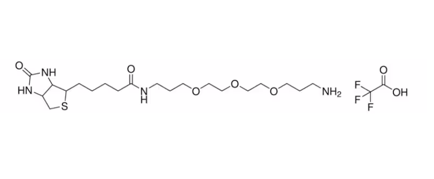 Biotin-dPEG®3-NH3+TFA-