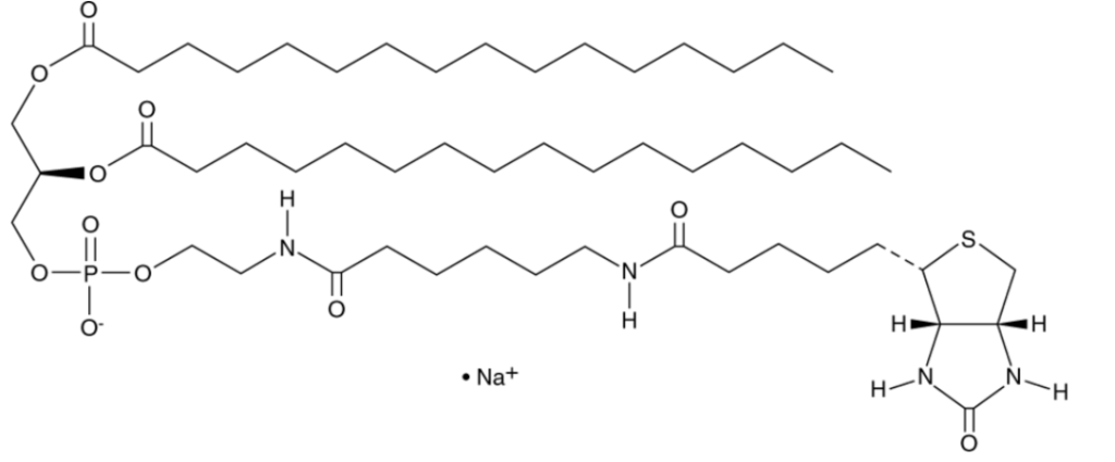 1,2-Dipalmitoyl-sn-glycero-3-PE-N-(cap biotin) (sodium salt) | CAS 384835-52-3