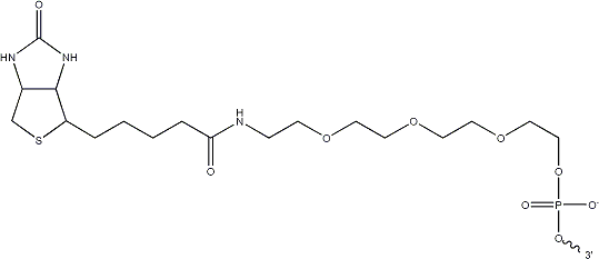 5′-Biotin TEG
