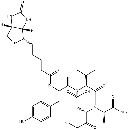 Caspase 1 (ICE) Inhibitor II, biotinylated | CAS 402474-75-3