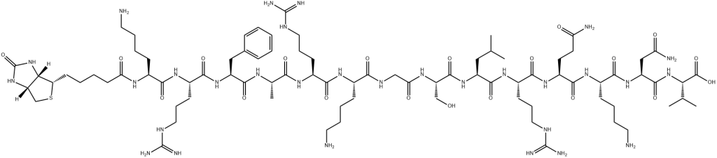 [ser25]-PKC (19-31), biotinylated | CAS 177966-62-0