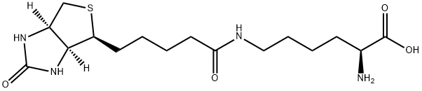 Biocytin [Epsilon-Biotinoyl-L-Lysine] | CAS 576-19-2