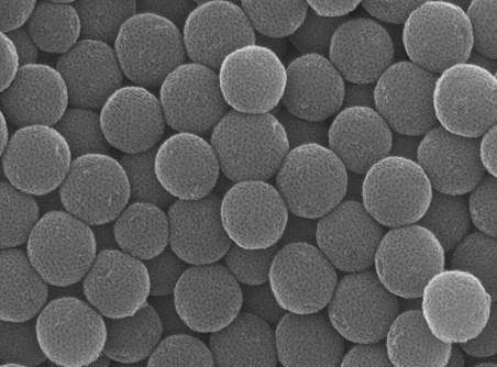 Nitrogen-doped Mesoporous Carbon spheres (NC), Selectable Size