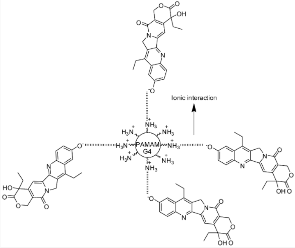 PAMAM dendrimer complexed to 7-ethyl-10-hydroxy-camptothecin