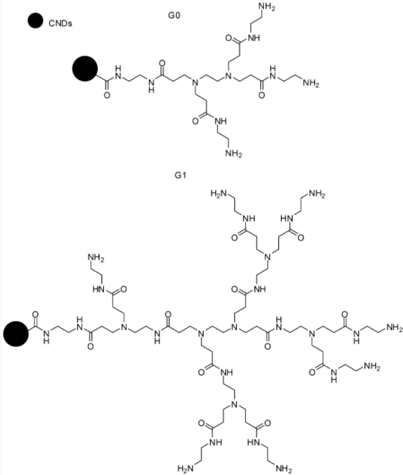 PAMAM dendrimer conjugated to CNDs (carbon nanodots)