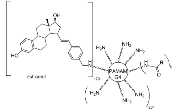 PAMAM dendrimer conjugated to estradiol