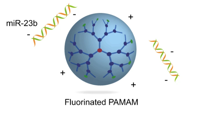 FP/miR-23b (Fluorinated PAMAM/miR-23b)