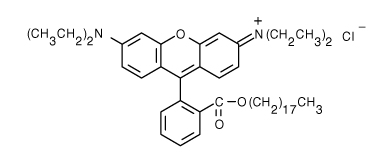 DOTAP Liposomes Containing Self-quenching Concentration of Octadecyl Rhodamine B, Lyophilized Powder